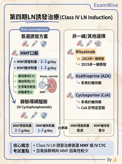內專 - 繼發性腎絲球腎炎 - AI 圖文解析預覽