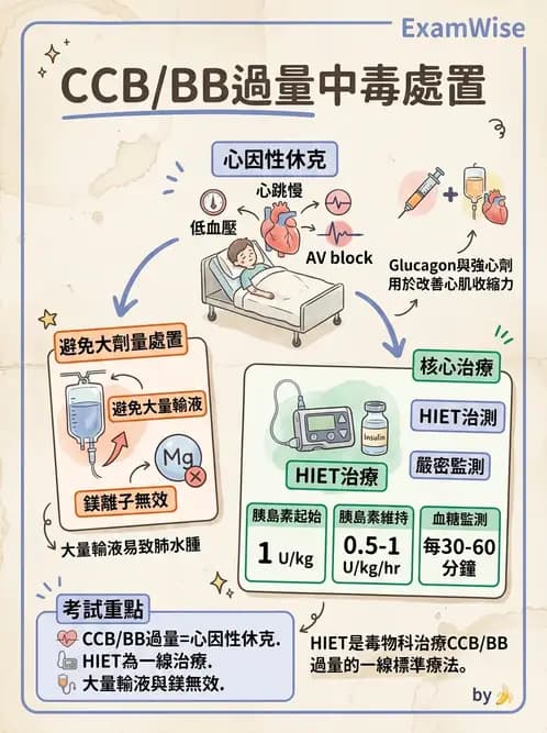 內專 - ARDS 與重症照護 - AI 圖文解析預覽
