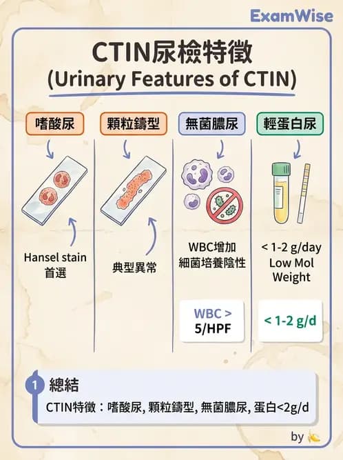 內專 - 腎間質疾病與其他 - AI 圖文解析預覽