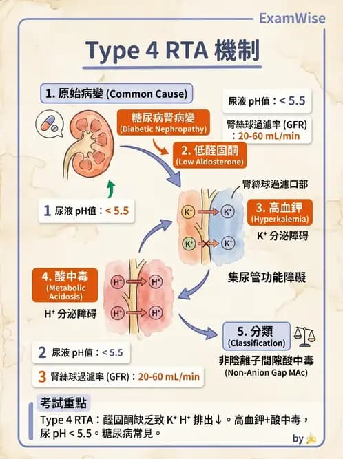 內專 - 酸鹼平衡異常 - AI 圖文解析預覽