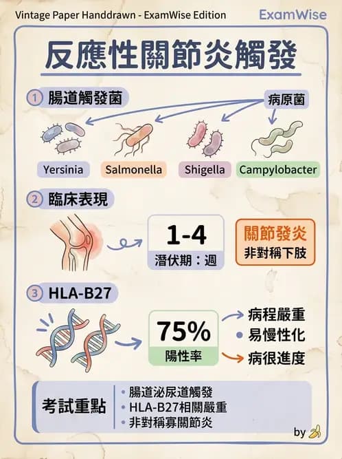 內專 - 脊椎關節病變 - AI 圖文解析預覽