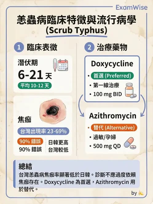 內專 - 蟲媒感染、性傳播感染與寄生蟲 - AI 圖文解析預覽