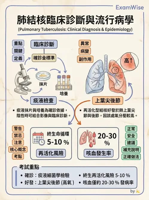 內專 - 肺結核 - AI 圖文解析預覽