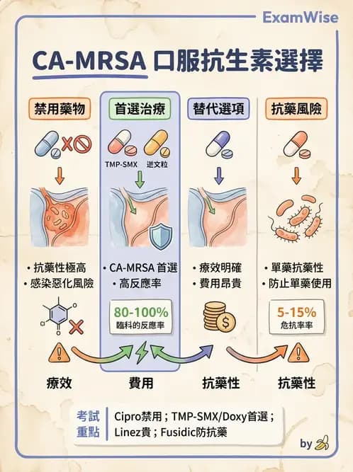 內專 - 抗藥性菌與感染管控 - AI 圖文解析預覽