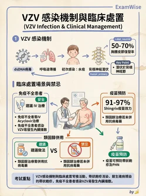 內專 - 病毒感染:COVID-19、流感與新興傳染病 - AI 圖文解析預覽