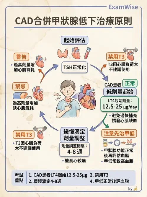 內專 - 甲狀腺疾病 - AI 圖文解析預覽