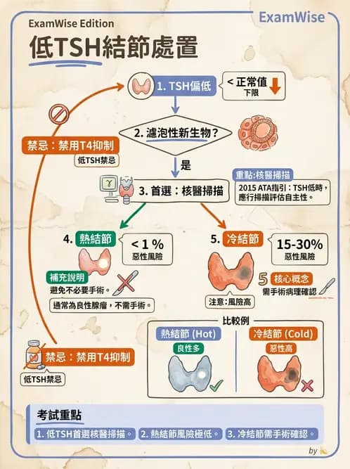 內專 - 甲狀腺疾病 - AI 圖文解析預覽