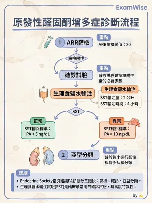 內專 - 腎上腺皮質疾病 - AI 圖文解析預覽
