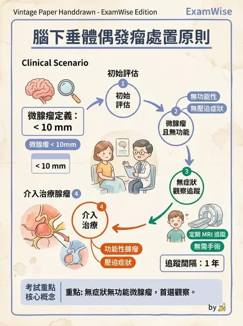 內專 - 腦垂體疾病 - AI 圖文解析預覽