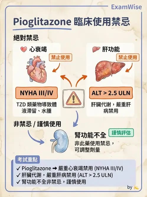 內專 - SGLT2i與TZD藥物特論 - AI 圖文解析預覽