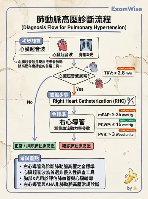內專 - 系統性硬化症 - AI 圖文解析預覽
