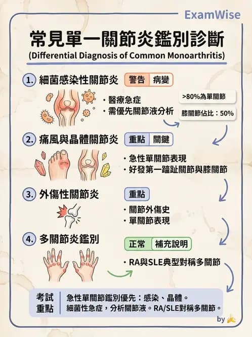 內專 - 痛風、結晶性與退化性關節炎 - AI 圖文解析預覽