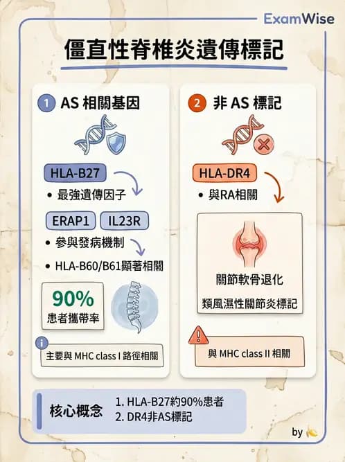內專 - 脊椎關節病變 - AI 圖文解析預覽