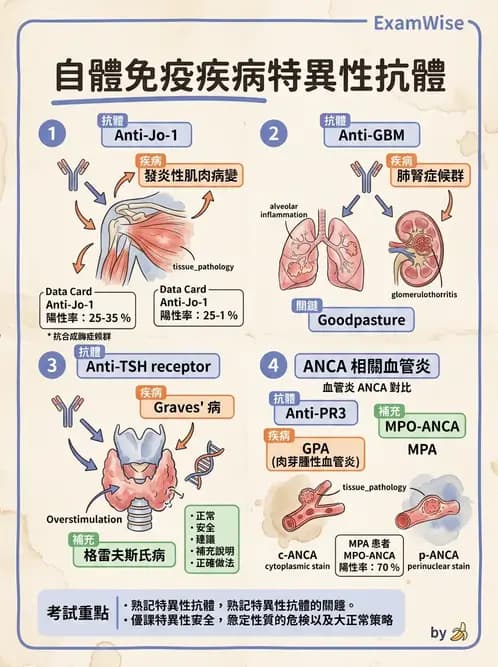 內專 - 炎性肌病 - AI 圖文解析預覽