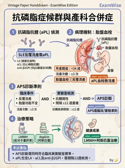 SLE - 全身性紅斑狼瘡 - AI 圖文解析預覽