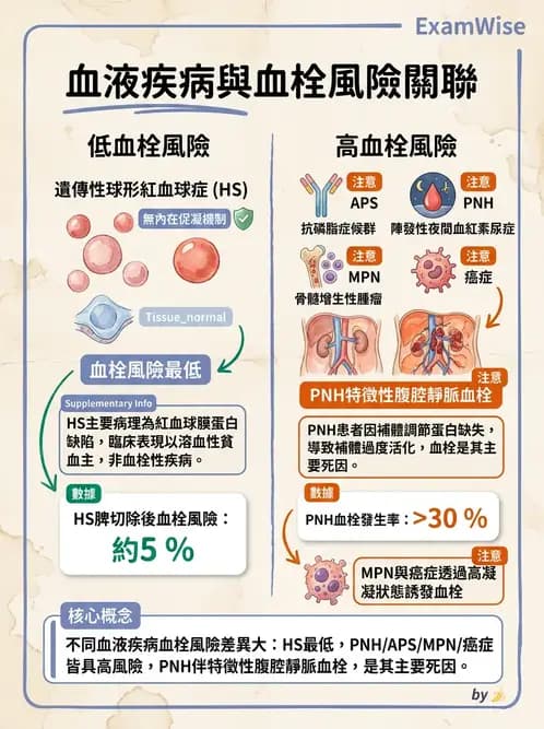 內專 - 凝血與輸血 - AI 圖文解析預覽