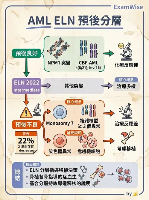 內專 - 白血病與骨髓增生不良 - AI 圖文解析預覽