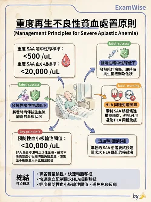 內專 - 各型貧血 - AI 圖文解析預覽