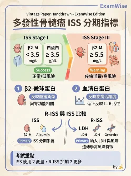 內專 - 淋巴瘤與多發性骨髓瘤 - AI 圖文解析預覽