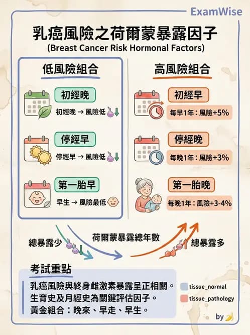 內專 - 非消化系統腫瘤 - AI 圖文解析預覽