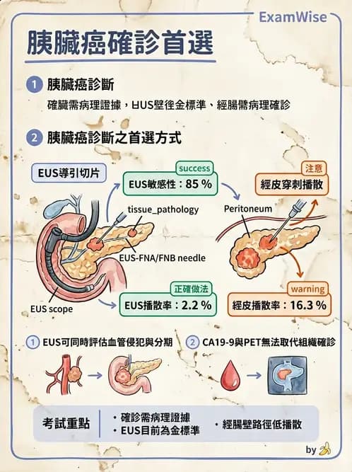 內專 - 消化系統腫瘤 - AI 圖文解析預覽