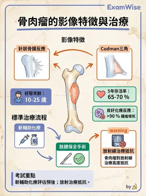 內專 - 非消化系統腫瘤 - AI 圖文解析預覽
