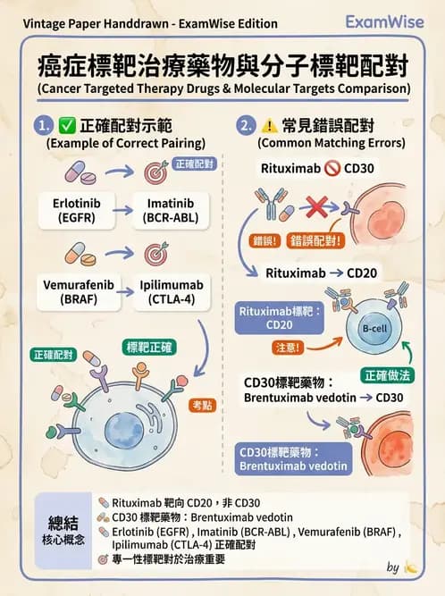 內專 - 免疫與標靶治療 - AI 圖文解析預覽