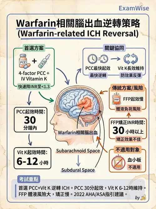 內專 - 凝血與輸血 - AI 圖文解析預覽