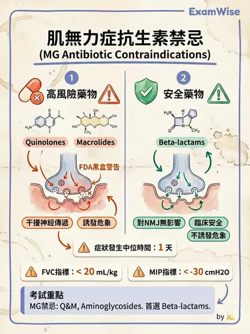 內專 - 神經肌肉接合與周邊神經疾病 - AI 圖文解析預覽