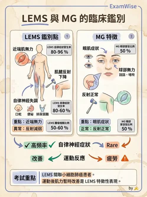 內專 - 神經肌肉接合與周邊神經疾病 - AI 圖文解析預覽