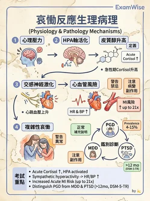 內專 - 憂鬱症與自殺防治 - AI 圖文解析預覽