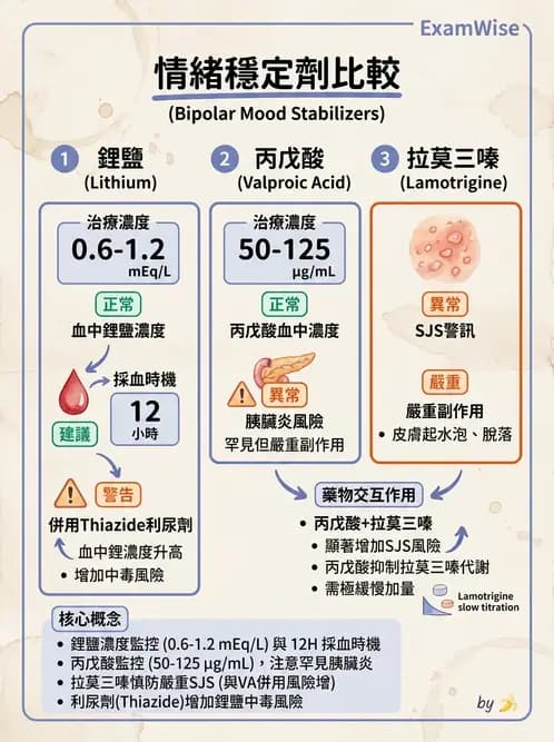 內專 - 精神藥物與成癮 - AI 圖文解析預覽