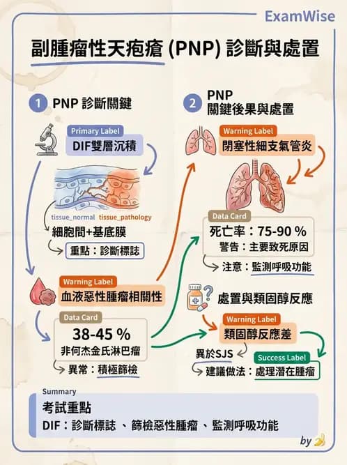 內專 - 免疫皮膚病與藥物反應 - AI 圖文解析預覽