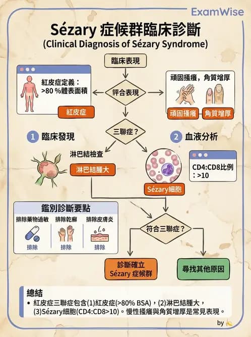 內專 - 皮膚腫瘤 - AI 圖文解析預覽
