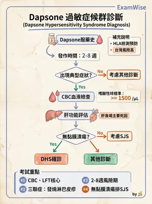 內專 - 免疫皮膚病與藥物反應 - AI 圖文解析預覽