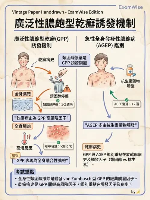 內專 - 免疫皮膚病與藥物反應 - AI 圖文解析預覽