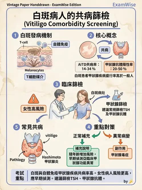 內專 - 甲狀腺疾病 - AI 圖文解析預覽