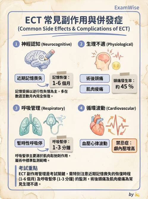 護理師 - 精神科藥物與生物治療 - AI 圖文解析預覽