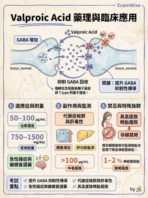 護理師 - 精神科藥物與生物治療 - AI 圖文解析預覽