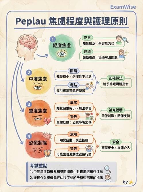 護理師 - 焦慮症與壓力相關障礙 - AI 圖文解析預覽