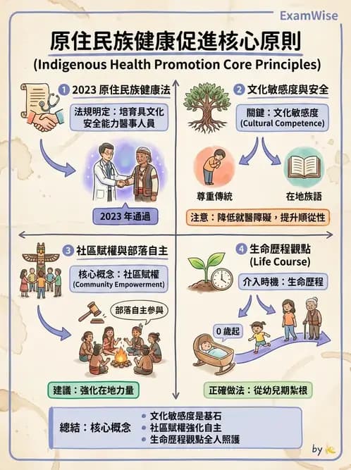 護理師 - 健康照護體系與健康政策 - AI 圖文解析預覽