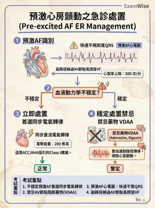 內專 - 心房顫動與上心室心律不整 - AI 圖文解析預覽