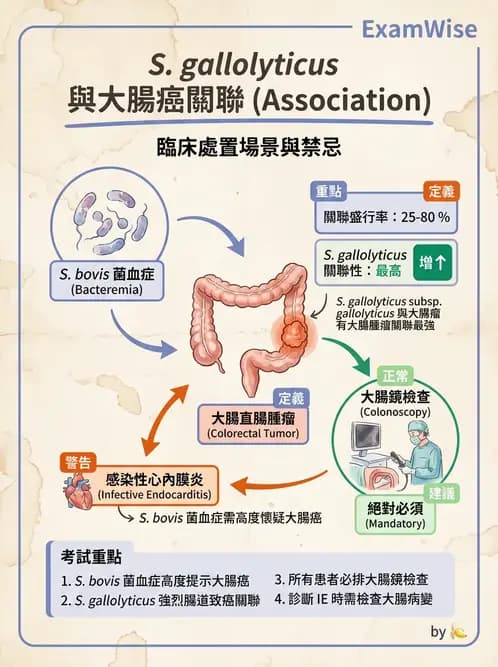 內專 - 心內膜炎與心包膜疾病 - AI 圖文解析預覽