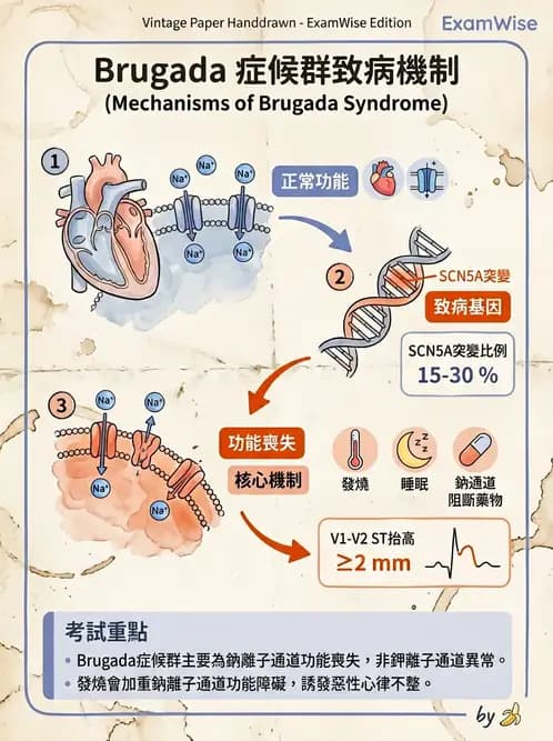 內專 - 心室心律不整與心因性猝死 - AI 圖文解析預覽