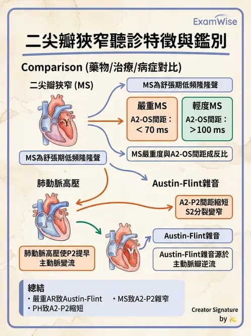 內專 - 瓣膜性心臟病 - AI 圖文解析預覽