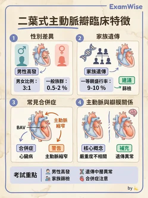 內專 - 瓣膜性心臟病 - AI 圖文解析預覽