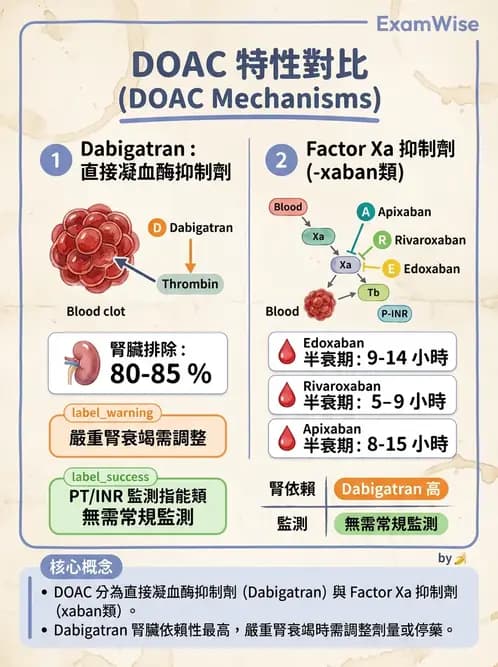 內專 - 心房顫動與上心室心律不整 - AI 圖文解析預覽
