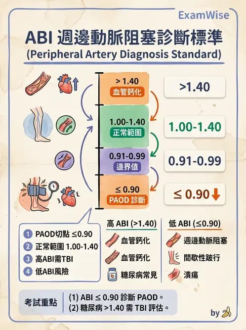 內專 - 主動脈與周邊血管疾病 - AI 圖文解析預覽