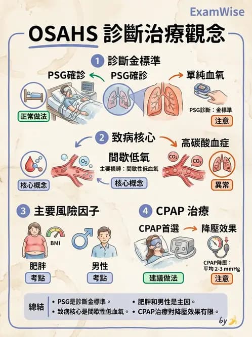 內專 - 呼吸衰竭、非侵襲性呼吸器與睡眠呼吸中止 - AI 圖文解析預覽