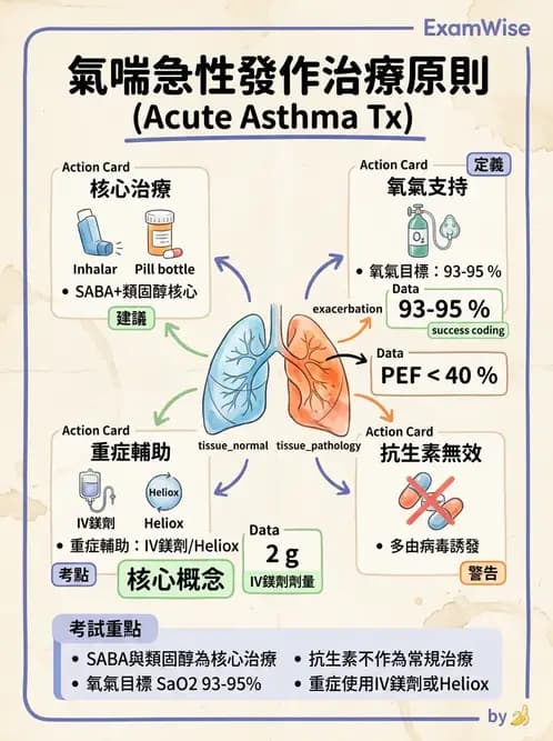 內專 - 氣喘 - AI 圖文解析預覽